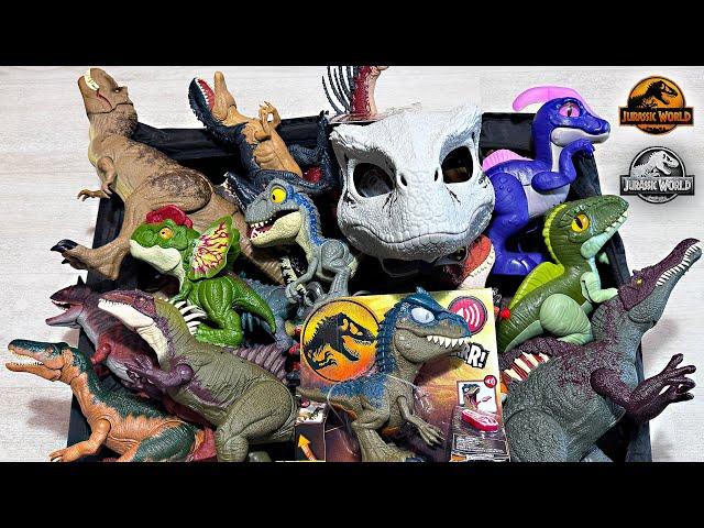 200 Jurassic World Chaos Theory Dinosaur Toys in Colossal Box! Becklespinax, Spinosaurus, T-Rex