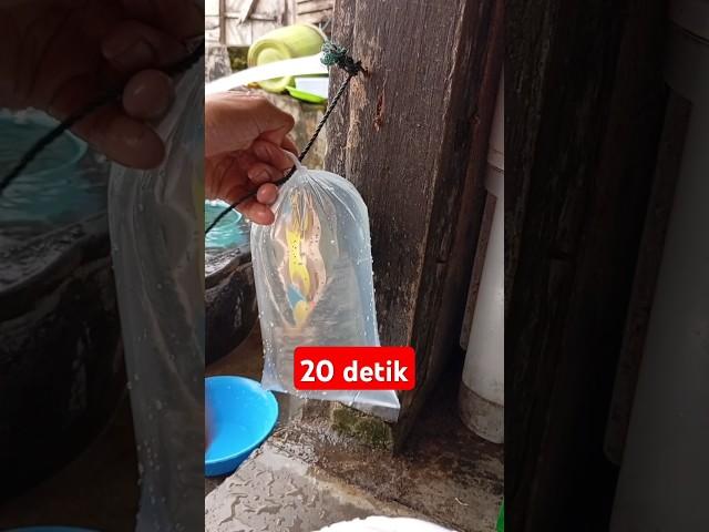 cukup 20 detik , trik ikat es batu #trending #viral #fyp