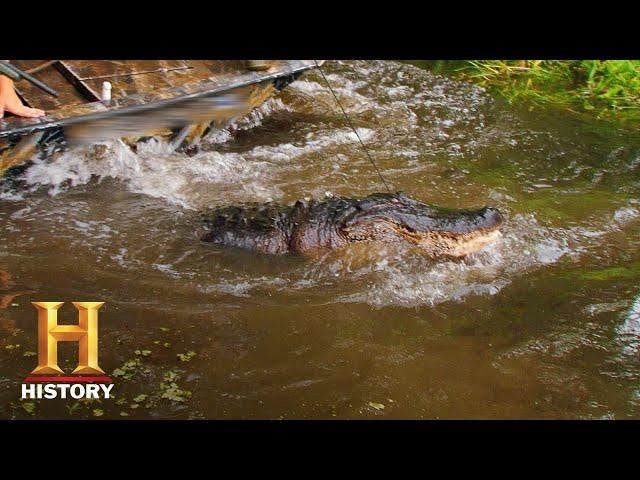 Swamp People: Submarine Gator Hunt (Season 8) | History