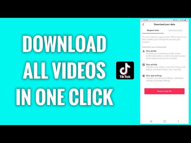 How To Download All Videos From TikTok In One Click