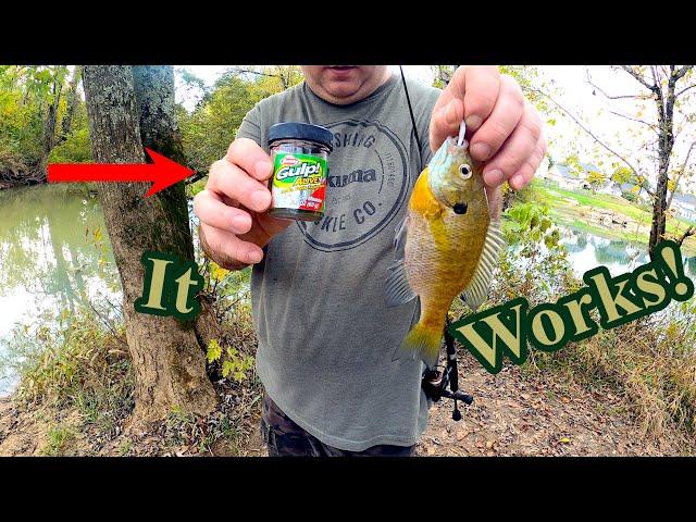 How To Use Gulp Minnows