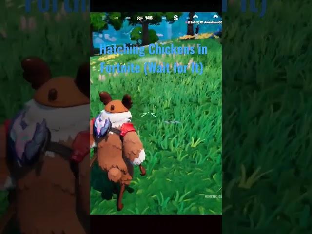 Chicken Hatching in Fortnite (Wait for It) #fortnite  # #easter #happyeaster #easteregg #waitforit