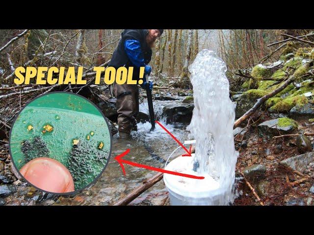 This Tool Gets Chunky GOLD Others Miss! Pacific Northwest Gold Prospecting.