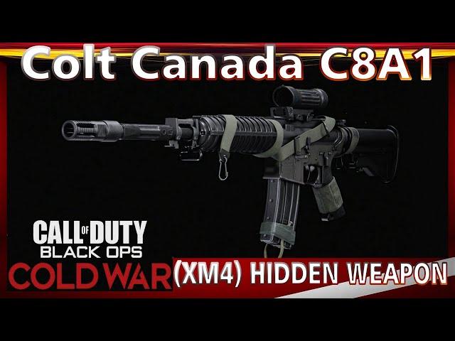 Black Ops Cold War Colt Canada C8A1 (XM4) Hidden Weapon Gameplay