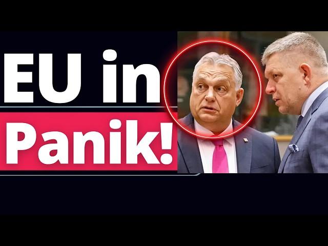 Orban und Fico senden Schockwelle durch EU!