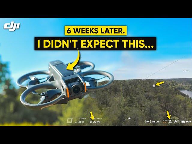 DJI Avata 2 - 6 Weeks Later Pros & CONS! (WATCH BEFORE YOU BUY!)