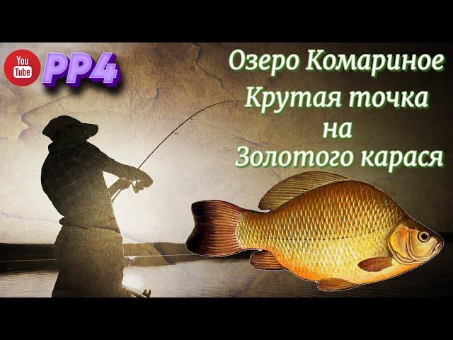 Озеро Комариное • Карась Золотой • Надёжная точка • РР4 • Русская рыбалка 4 • 2023 год