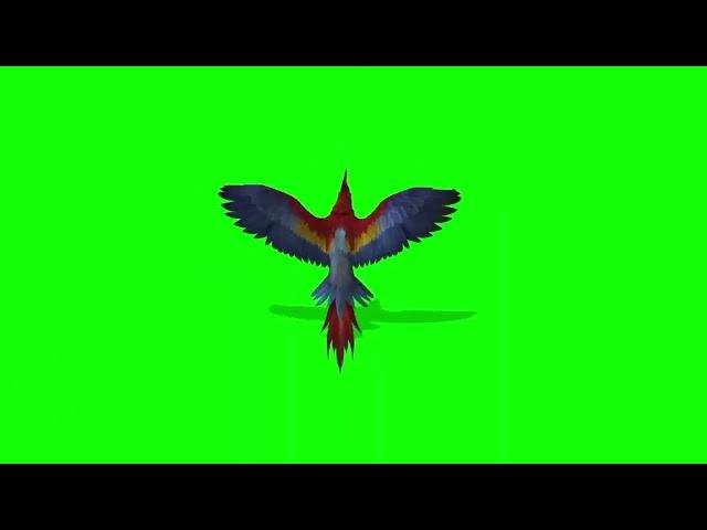 Папагал /зелен екран/ ЗВУКОВИ ЕФЕКТИ / SOUND EFFECTS / green screen / Parrot