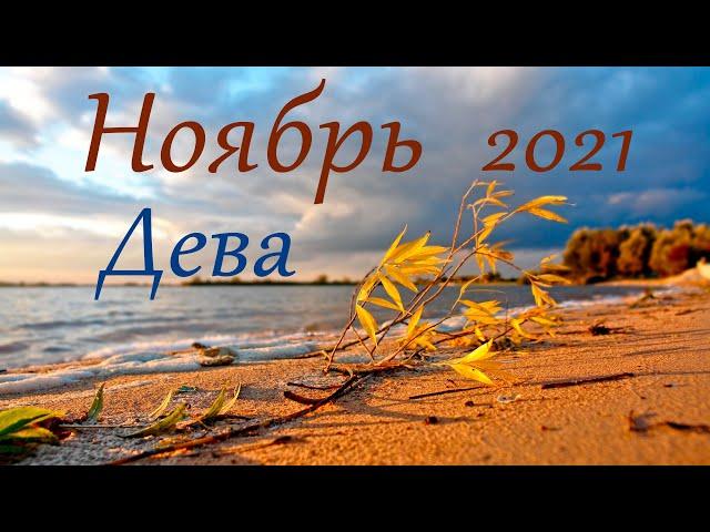 Дева Ноябрь 2021 Таро прогноз