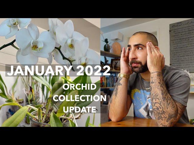 January 2022 Orchid Collection Update