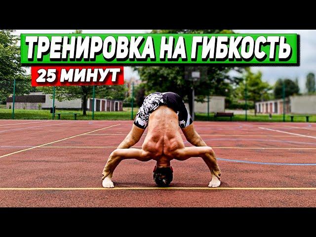 25 минут эффективной тренировки | Эффективные упражнение на гибкость |  Street Workout Animal flow.