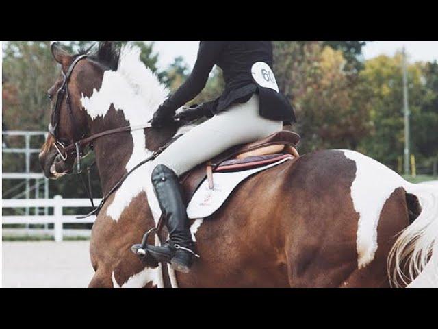 Horse Jumping Video // Believer