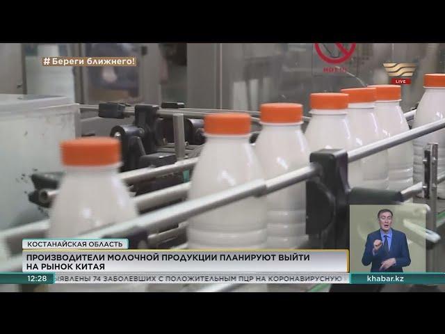 Производители молочной продукции планируют выйти на рынок Китая