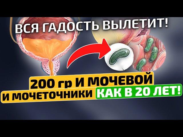 Действует сразу! Выгоняет плохие бактерии из почек и мочевого пузыря, избавляет от цистита