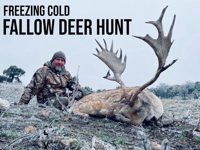 Texas Fallow Deer Hunt in an ICE STORM at Texas Hunt Lodge