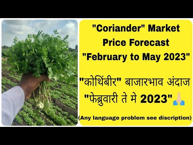 Coriander Market Price Forecast "February to May 2023" कोथिंबीर बाजारभाव अंदाज फेब्रुवारी ते मे 2023