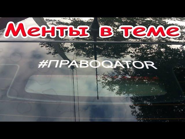 Два петушка из курятника #копыубийцы