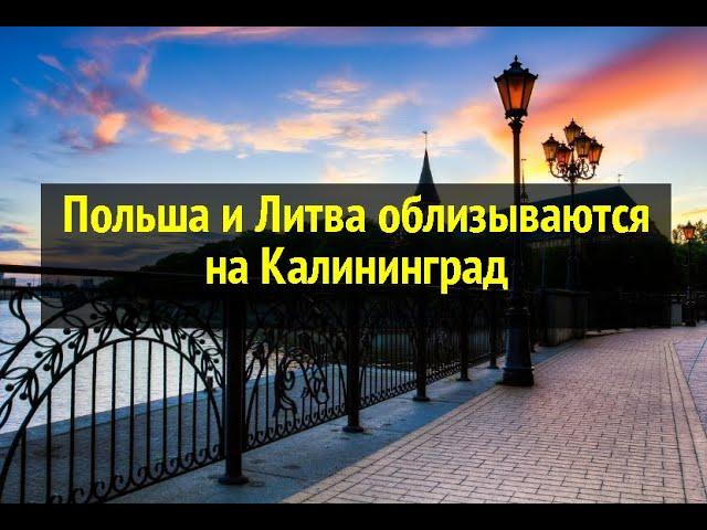 Польша и Литва облизываются на Калининград