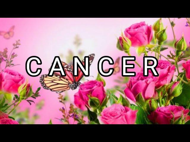 ️ CANCER LOVE TAROT READING TODAY: BIG BLESSINGS |