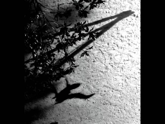 Max Richter - On the Nature of Daylight