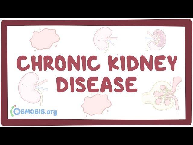 Chronic kidney disease - causes, symptoms, diagnosis, treatment, pathology