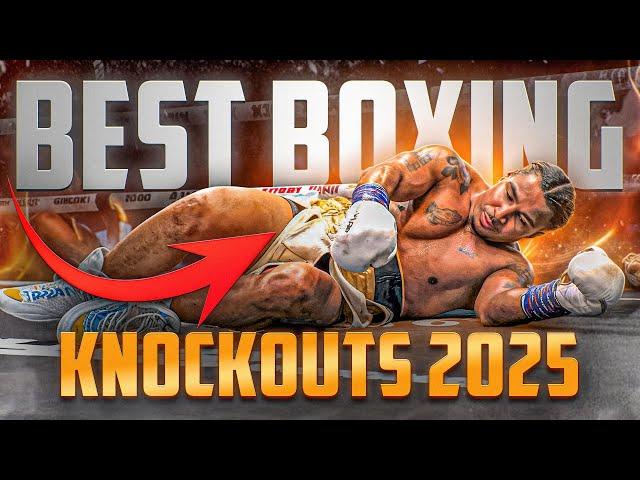 BEST BOXING KNOCKOUTS OF 2025 | FIGHT HIGHLIGHTS KO HD