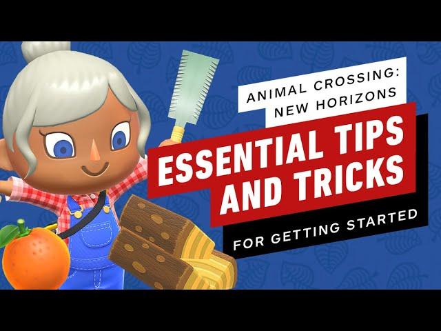 Essential Tips and Tricks To Get Started in Animal Crossing: New Horizons