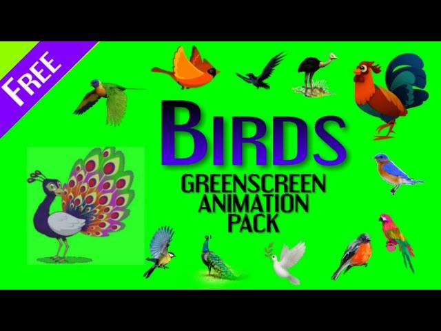 Birds green screen top animation pack | peacock parrots chicken hen and many flying birds