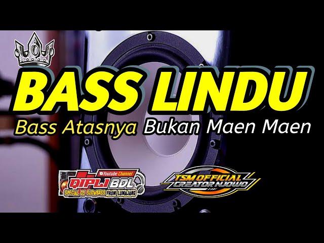 DJ PALING NJEDUG GLERR VERSI BASS LINDU TERBARU