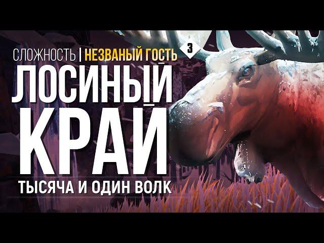 ДОЛИНА ТИХОЙ РЕКИ ► THE LONG DARK ( НЕЗВАНЫЙ ГОСТЬ ) # 3