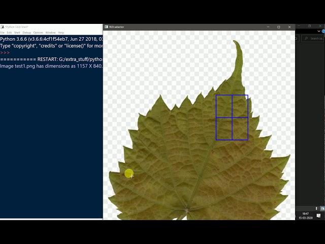 Python Script to manually crop and Save images