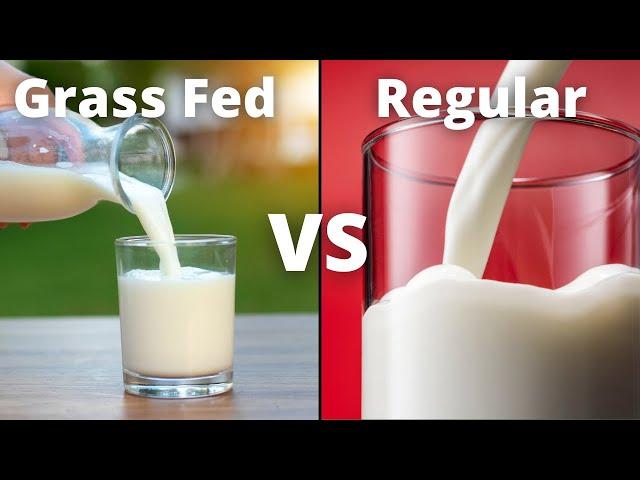 Organic vs Regular Milk vs Grass Fed Milk | What is The Best Milk?