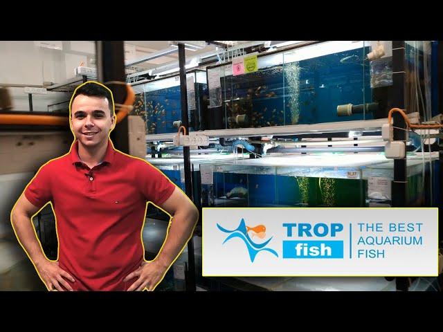 КРУТЕЙШАЯ РАЗВОДНЯ С НОВЫМИ ТЕХНОЛОГИЯМИ TropFish