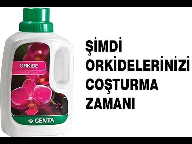 GENTA BİTKİ BESİNİ İLE ŞİMDİ ORKİDELERİNİZİ COŞTURMA ZAMANI.