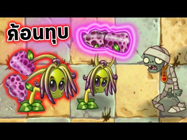 เปลี่ยนใบให้เป็นค้อน ทุบซอมบี้ไม่เหลือ Plants Vs Zombies 2