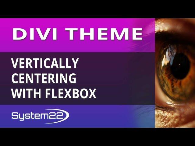 Divi Theme Vertically Centering With Flexbox