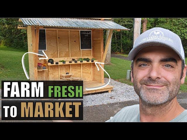 DIY Movable Farm Stand: Turning Your Harvest into Profit [EASY BUILD]