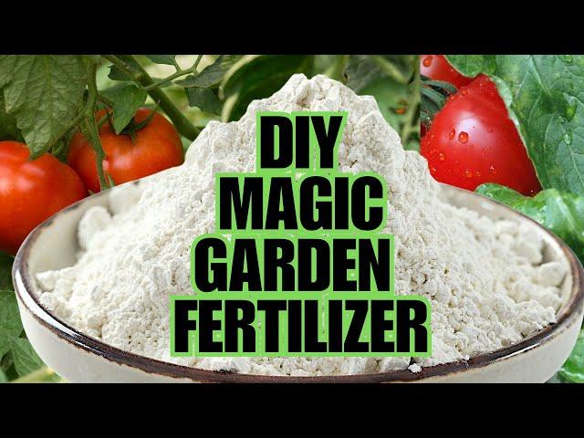 Magic Fertilizer For All Vegetables | 100% Success Results!!!