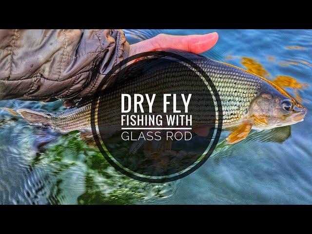 Dry fly fishing with glass rod