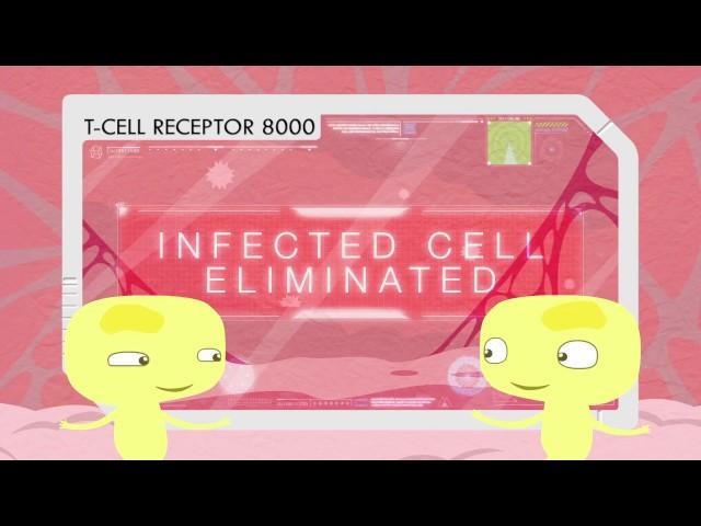 PD-L1/PD-1 Pathway: A Security Checkpoint