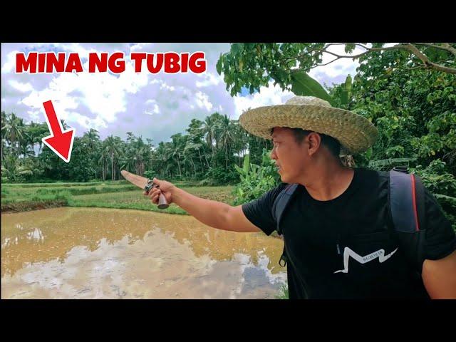 Jackpot nakamina tayo ng malaking tubig sa bagong Palayan hindi mahihirapan magdala ng tubig