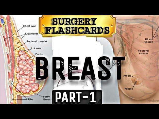 PART 01 l BREAST FLASHCARD l SURGERY SERIES 2020 l RAPID REVIEW