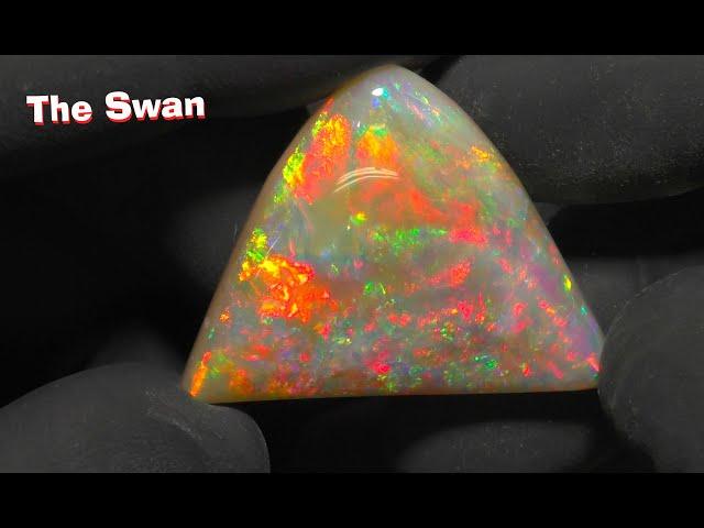 I Can't Believe What's Inside!    "The Swan"   52.4 ct Opal