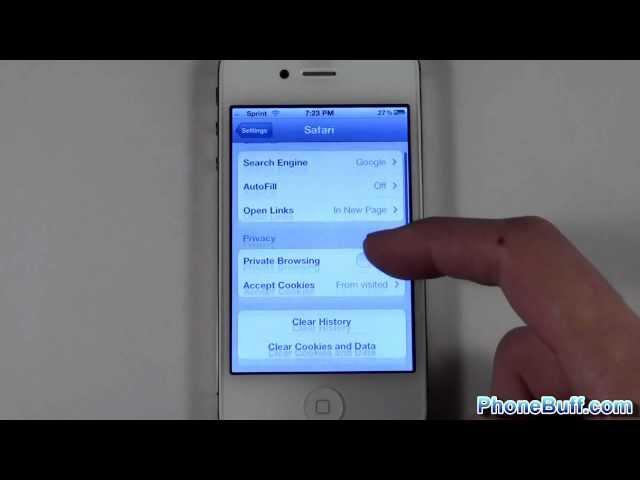 How To Delete Safari Internet History On The iPhone or iPad