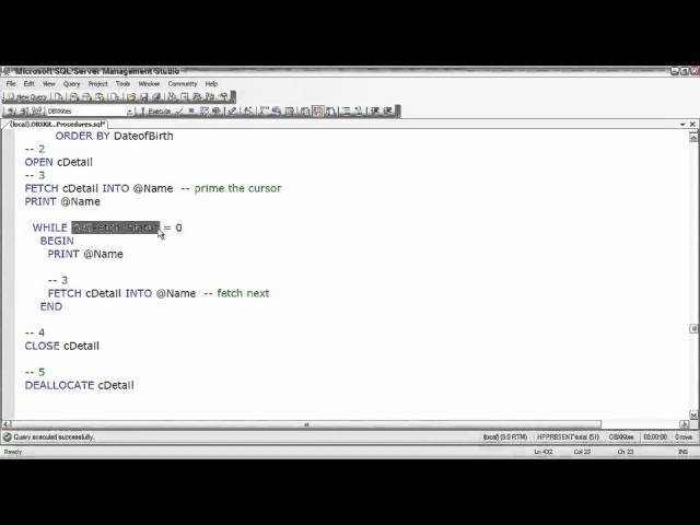 SQL Server  Working with a Cursor