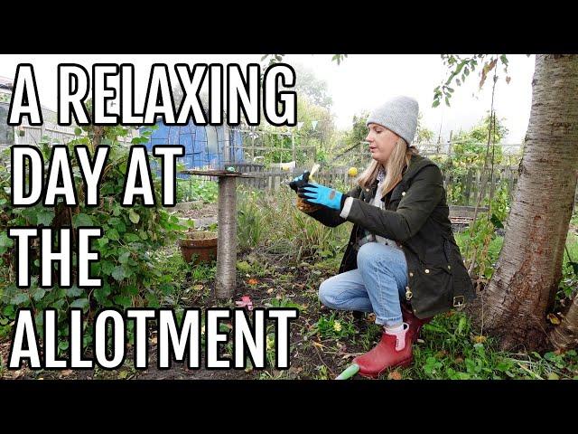 A RELAXING DAY ON THE ALLOTMENT / ALLOTMENT GARDENING UK