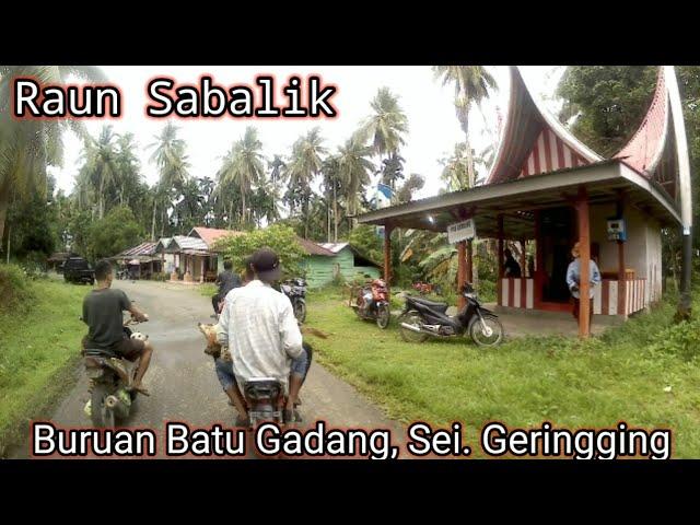 Berburu hama babi hutan || Batu Gadang - Sei.Geringging..