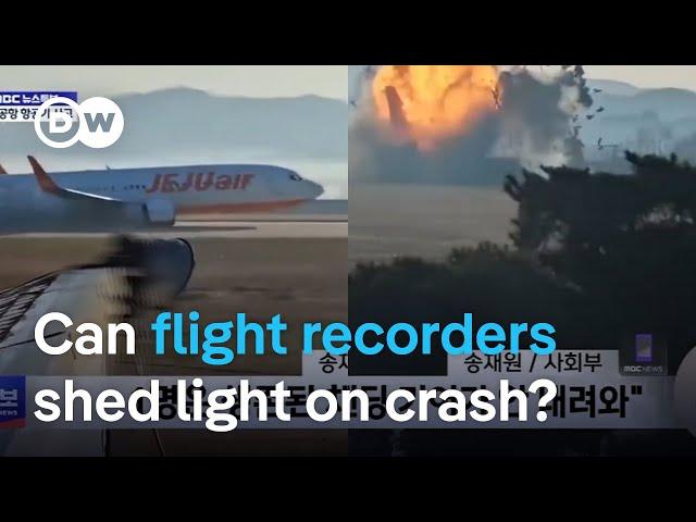 Jeju Air plane crash: What happens to an aircraft when a so-called bird strike occurs? | DW News