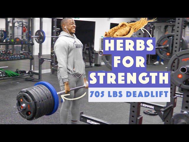 HERBS I drank for a 320 kg deadlift, Herbs for strength & power!