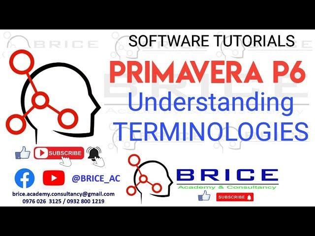 PRIMAVERA P6 TERMINOLOGIES  : P6 Lesson 2.1